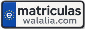 Fecha de matriculación matrícula FTY - Antigüedad 2007